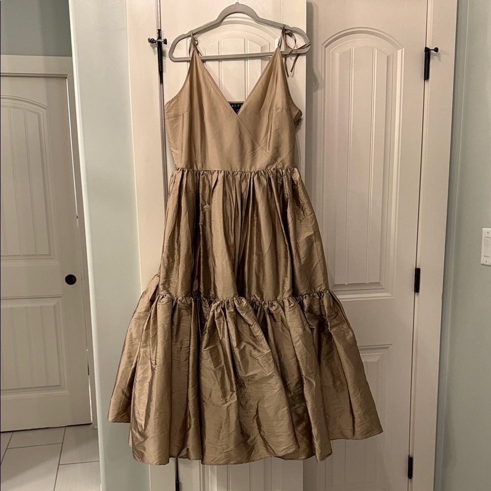 NWT Elegant Blondi Maxi Dress from Anthropologie